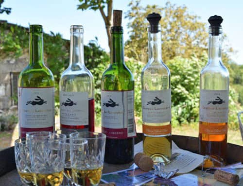 Bergerac Wine Tours (Eymet)