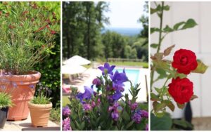 19 la borie sud flowers luxe vakantiehuis dordogne