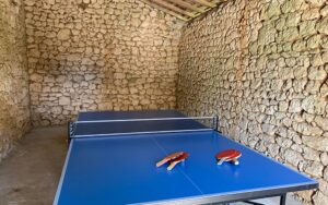 26 la reserve tabletennis luxe vakantiehuis dordogne