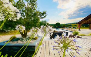 28ferme des rivailles extna luxury rentals dordogne