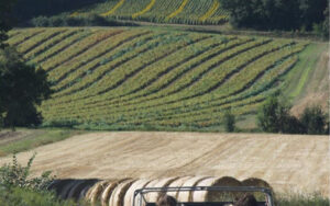 moulin calbel car luxury rentals dordogne moulin calbel car luxury rentals dordogne