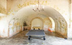 Charming indoor game room with vintage decor and ping pong table.