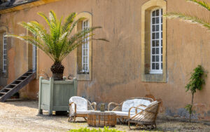 Elegant outdoor seating area with palm and vintage furniture in Dordogne.