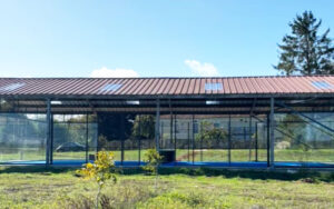 Bright outdoor swimming pool with glass-enclosed pool house in Dordogne, France, perfect for luxury vacation stays.
