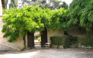 Charmant tuinpoortje met groene begroeiing in Dordogne, Frankrijk.