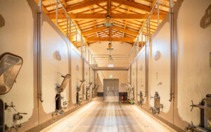 Binnenkant van een luxe vakantiehuis in Dordogne met houten plafond en grote deuren.